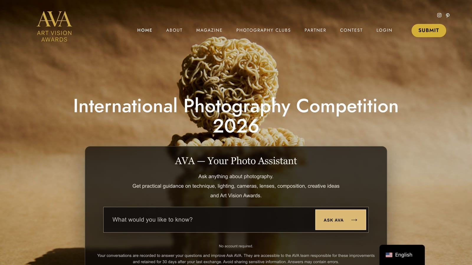 Art Vision Awards website homepage