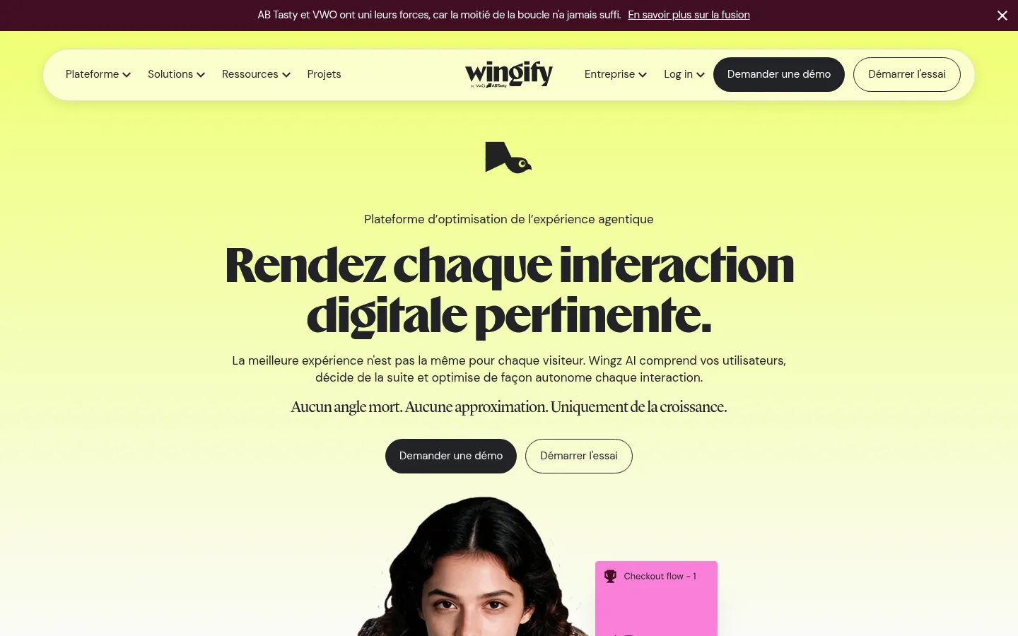 Startseite der Software Wingify