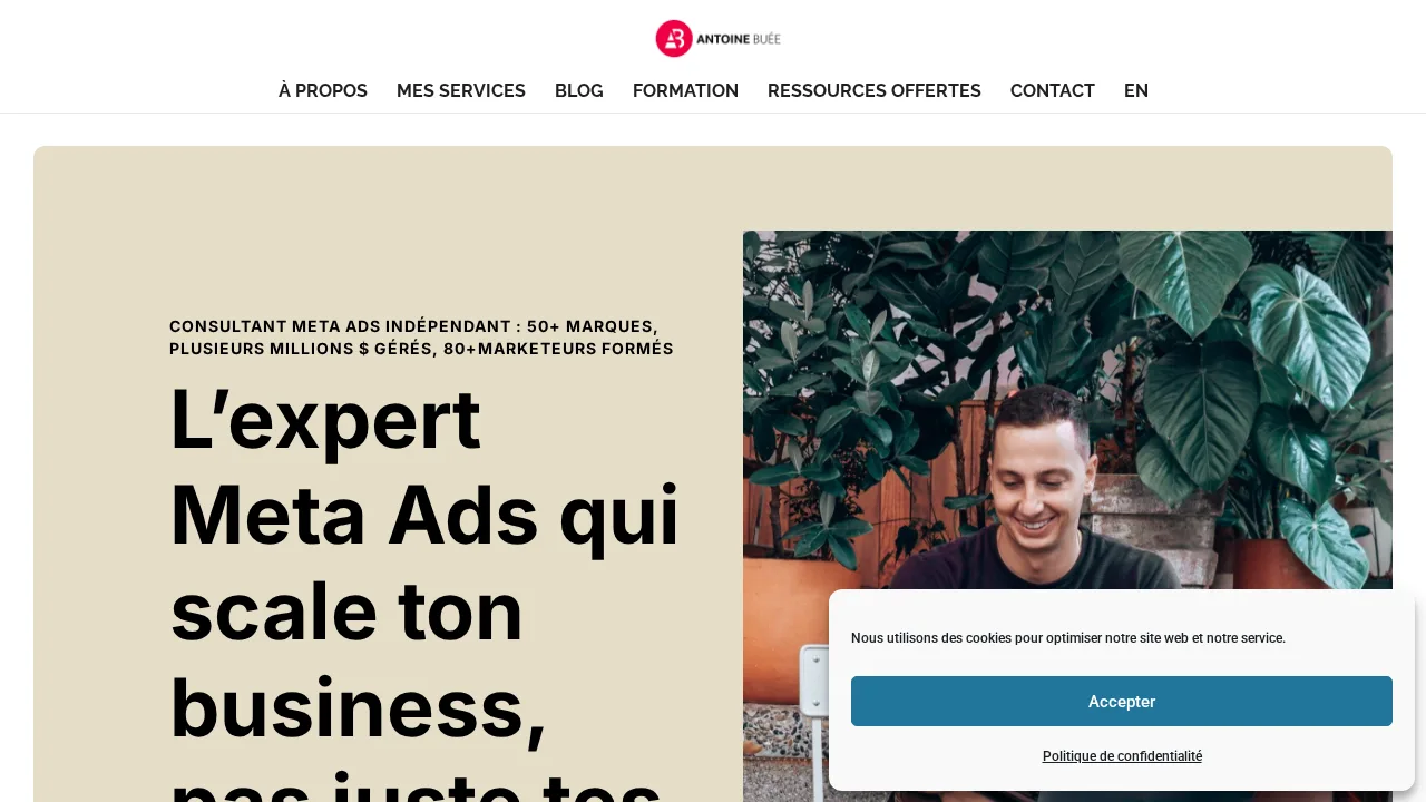 독립 Meta Ads 컨설턴트 Antoine Buée의 웹사이트 홈페이지와 블로그 및 무료 자료 링크
