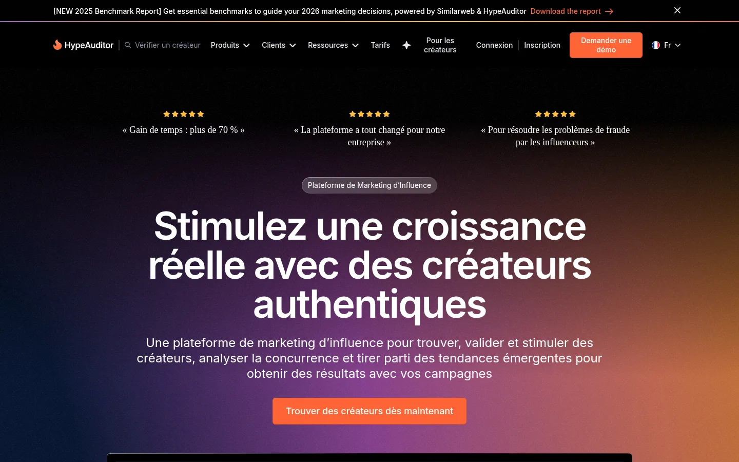 Homepage of the HypeAuditor software