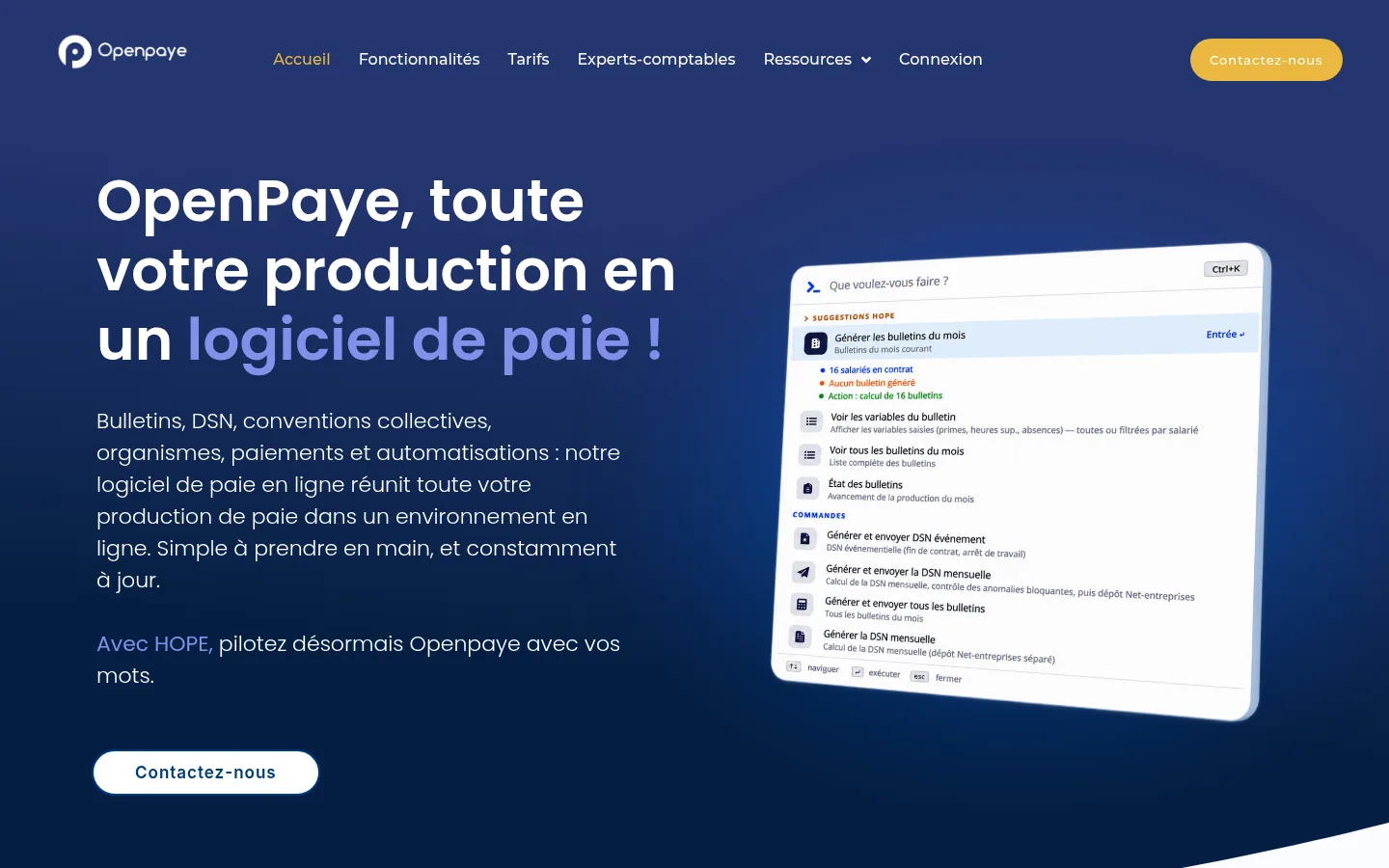 Home page del software Openpaye