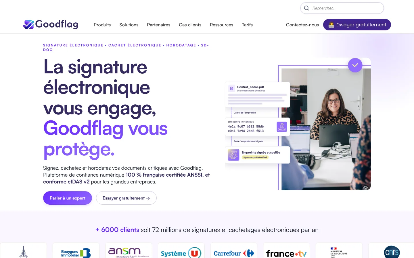 Homepage of the Goodflag software