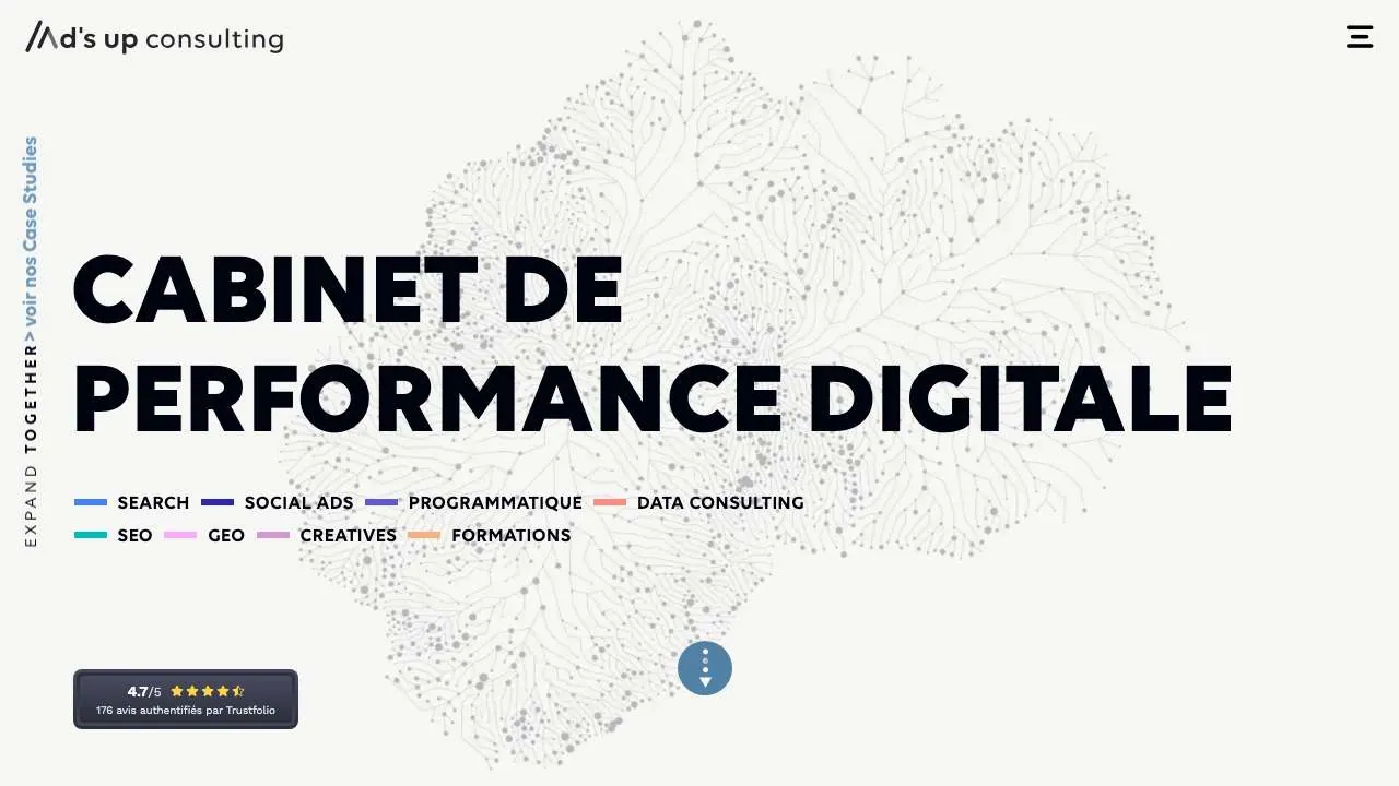 Homepage of the Ad's up Consulting paid media agency website