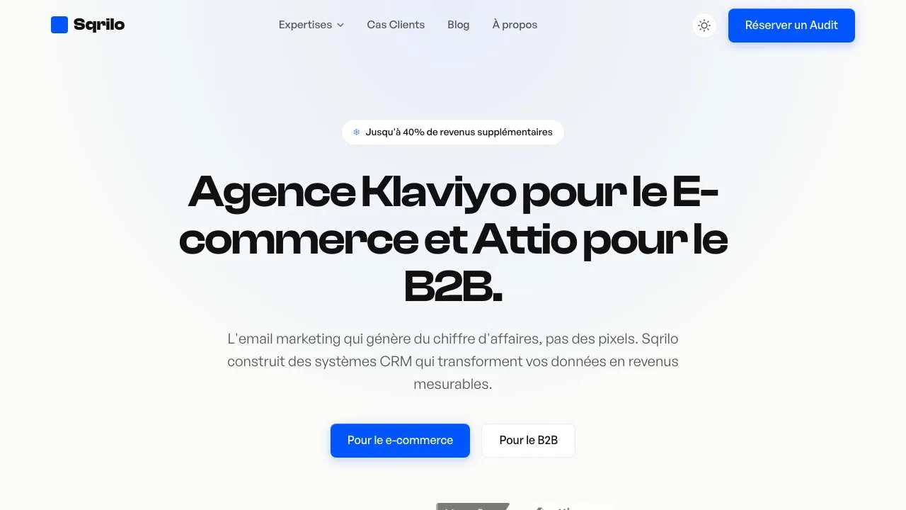 CRM・メールマーケティングエージェンシー Sqrilo のウェブサイトのトップページ