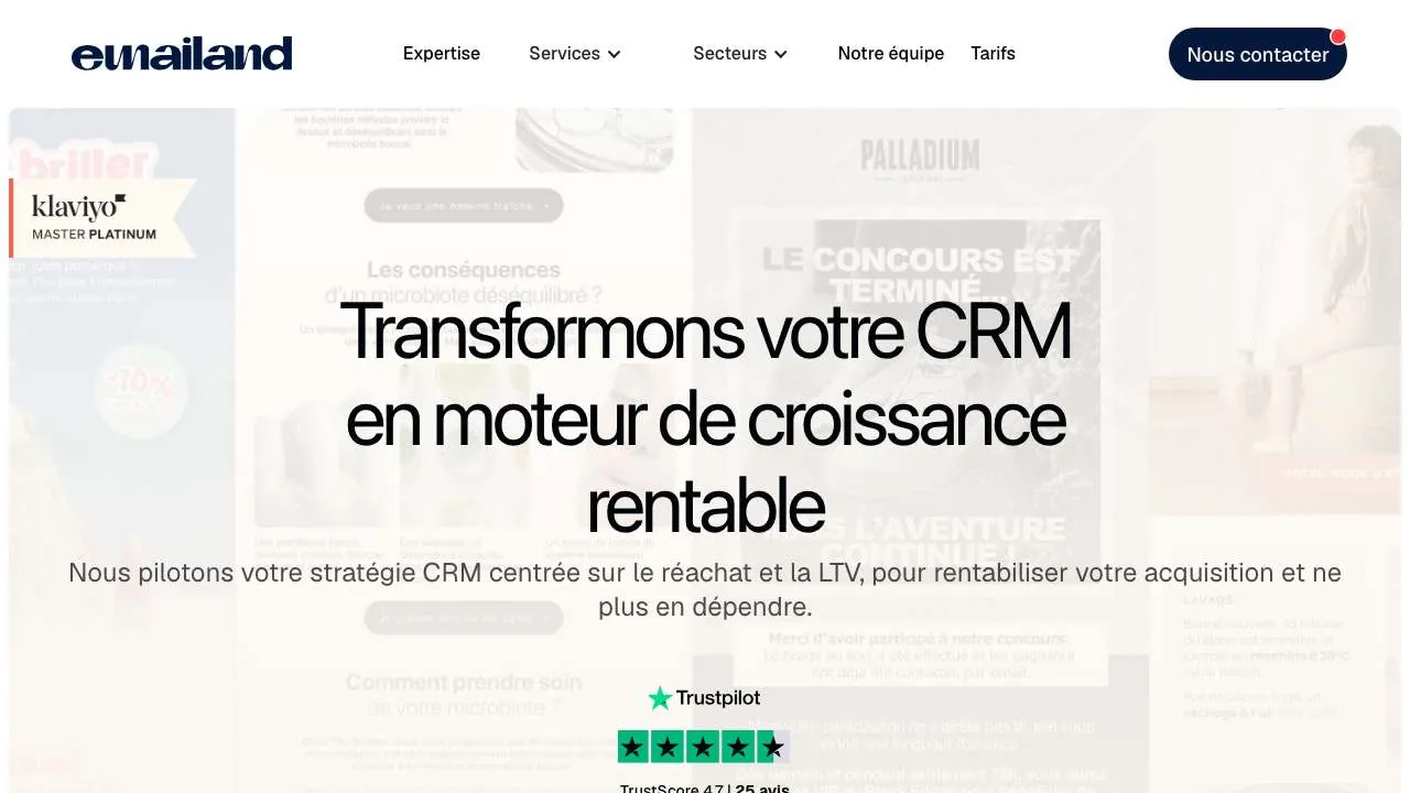 CRMエージェンシー Emailand のウェブサイトのトップページ