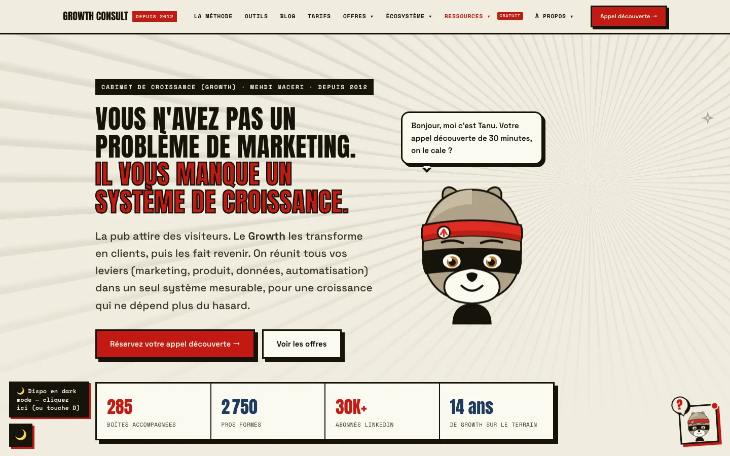 パリのグロースマーケティングコンサルタントMehdi NaceriのサイトGrowth Consultのトップページ