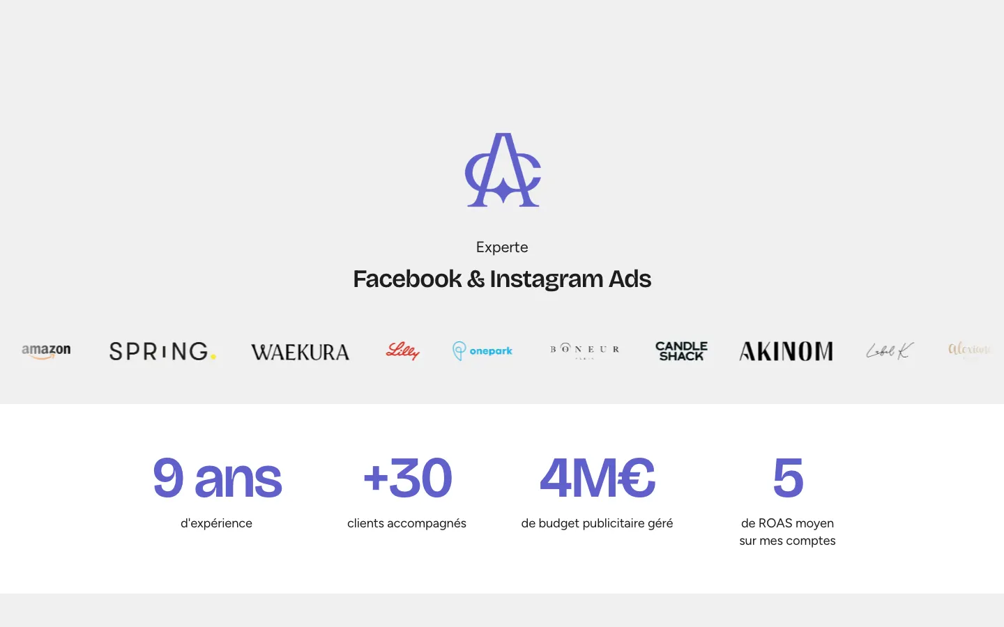 Facebook・Instagram広告のメディアバイヤーAngélique ArciszewskaのサイトEcom Adsのトップページ
