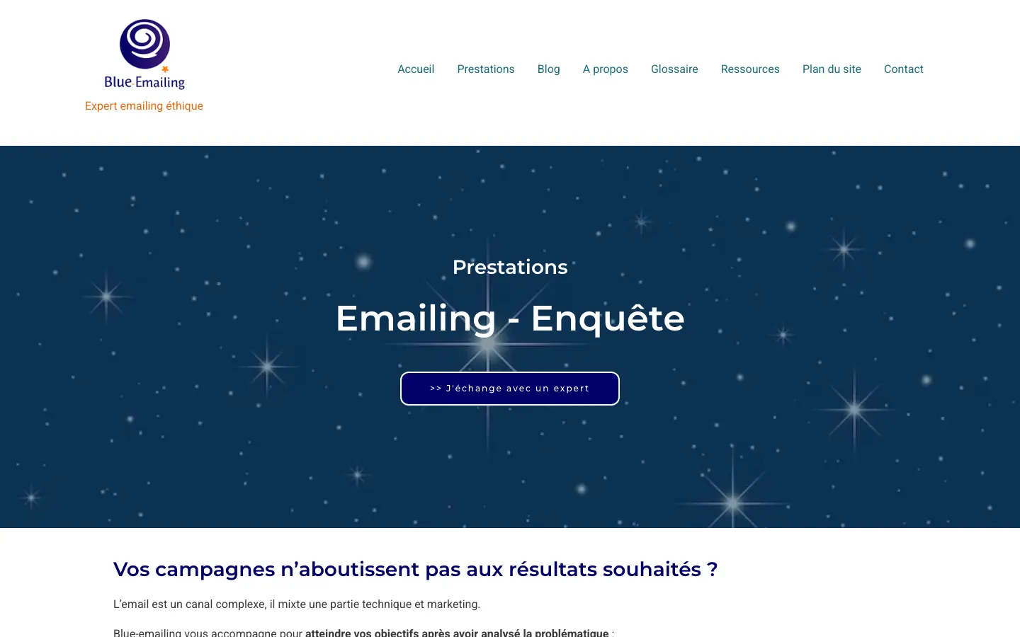 パリのメール配信・到達率コンサルタントDiane RevillardのサイトBlue-emailingのトップページ