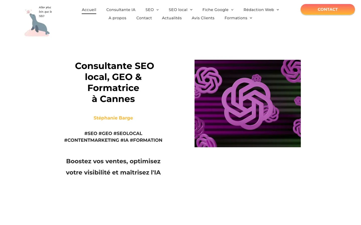 Home page of the website of Stéphanie Barge, local SEO and GEO consultant in Cannes