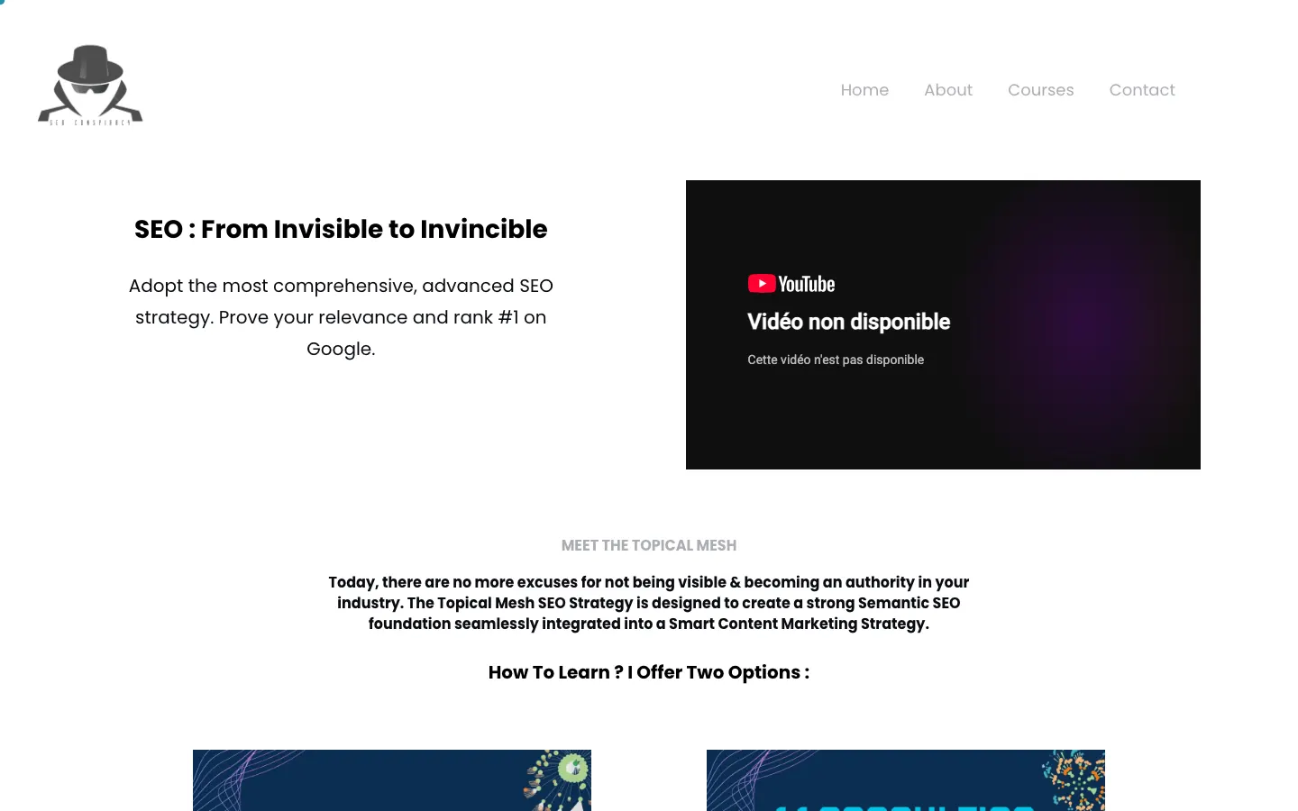 Beranda situs Topical Mesh milik Laurent Bourrelly, konsultan SEO di balik kokon semantik