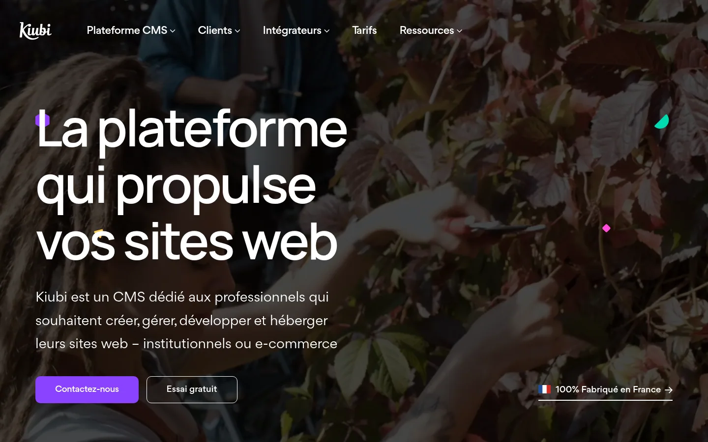 Startseite der Software Kiubi
