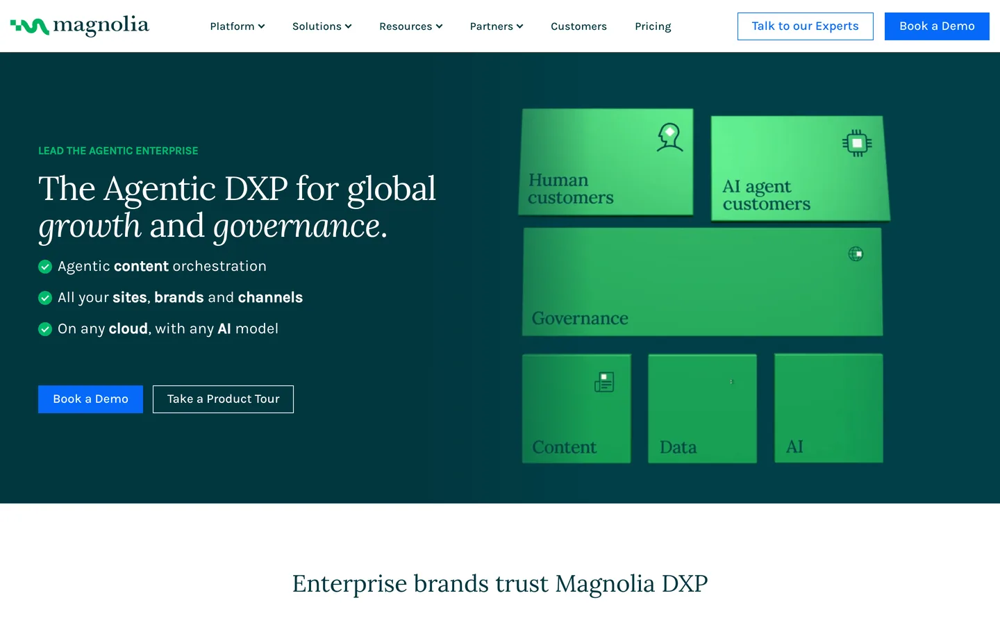 How to Make Your Magnolia CMS Site SEO and GEO Friendly for Google and AI Search