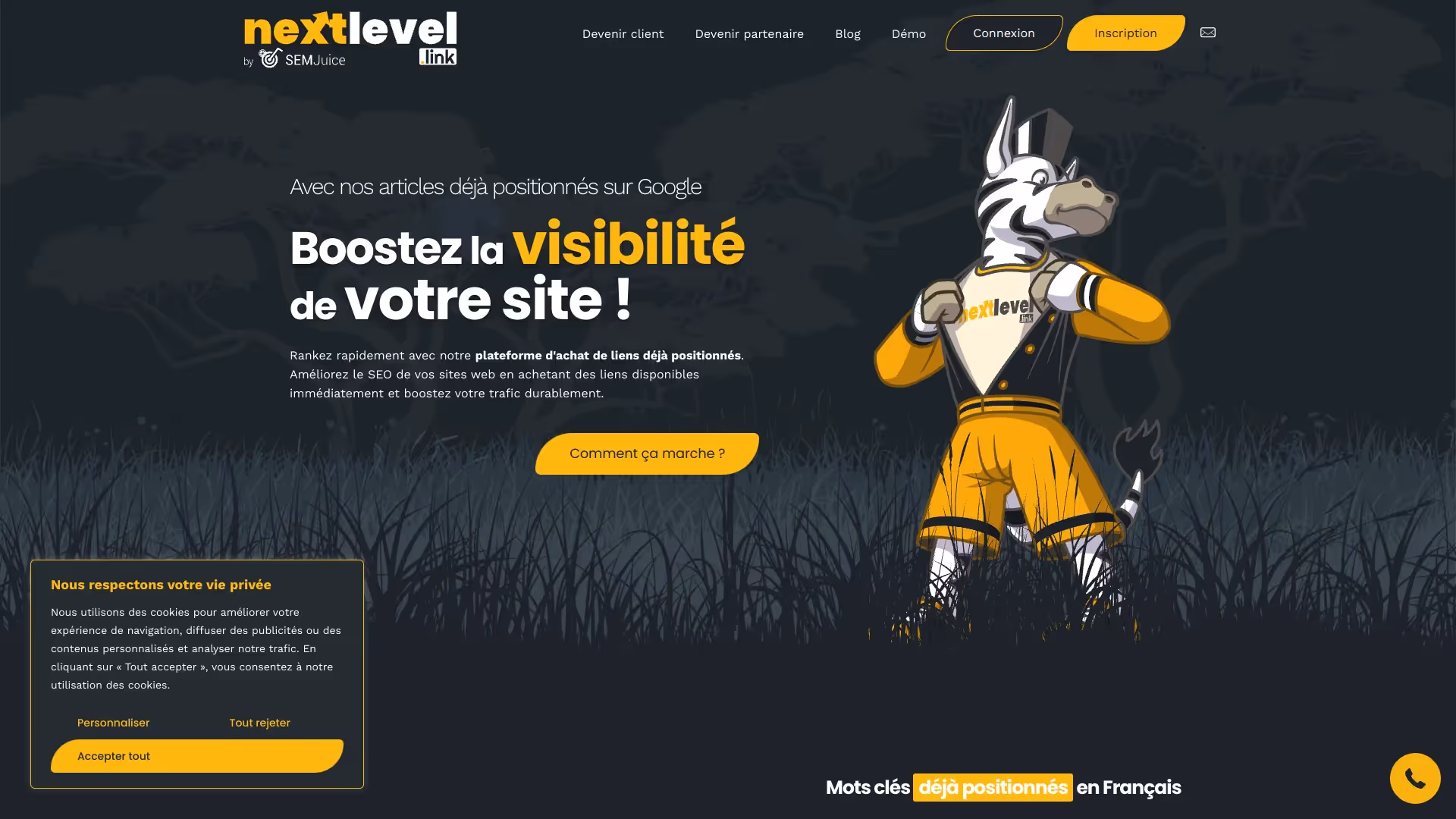Netlinking-Plattform NextLevel