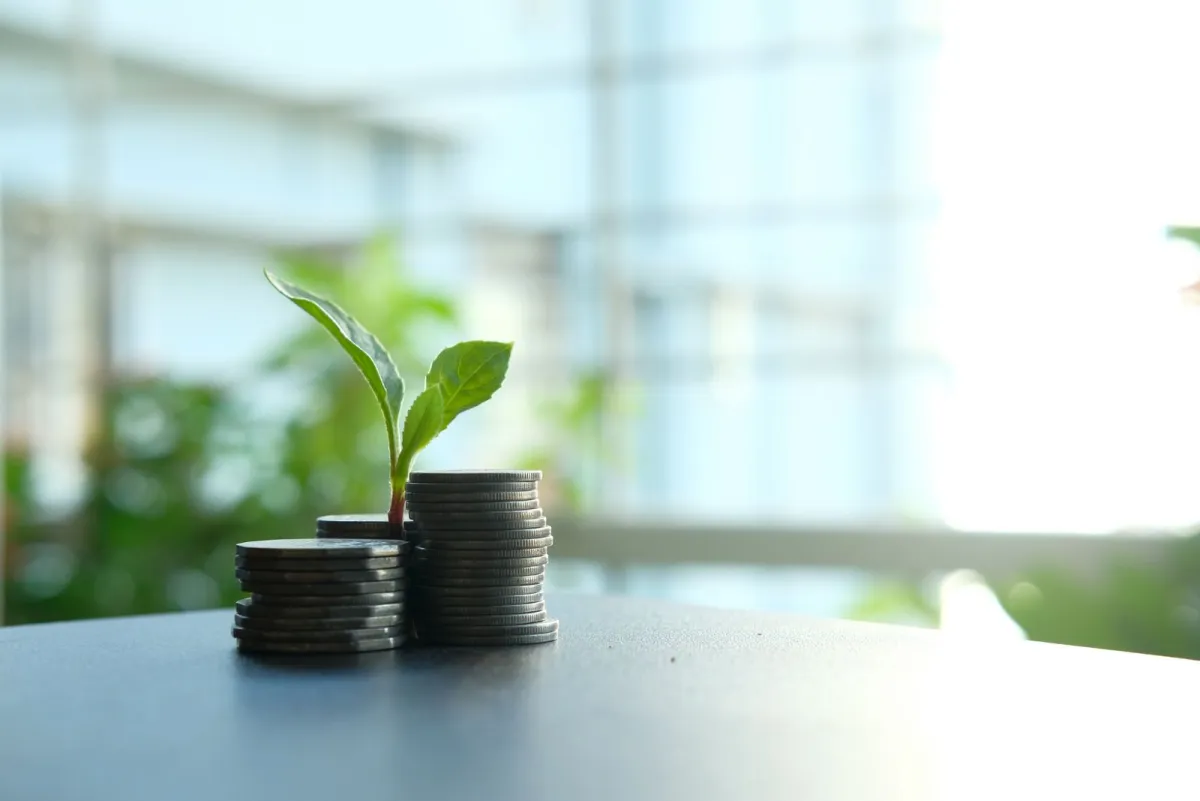 Stacks of coins on a table with a young plant growing from the tallest one