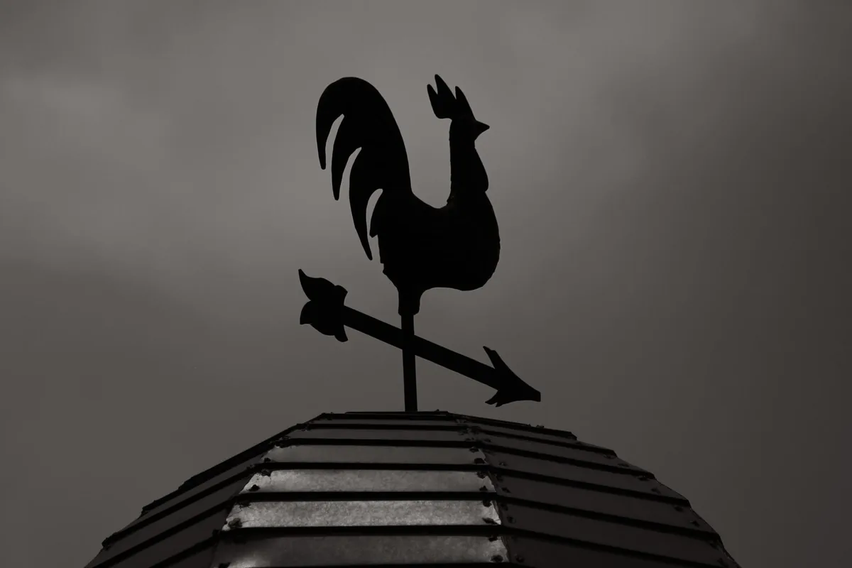 Siluet penunjuk arah angin berbentuk ayam jantan di langit abu-abu
