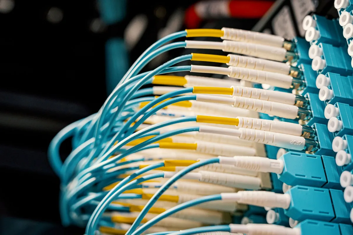 Bir ağ anahtarına takılı mavi fiber optik kablolar