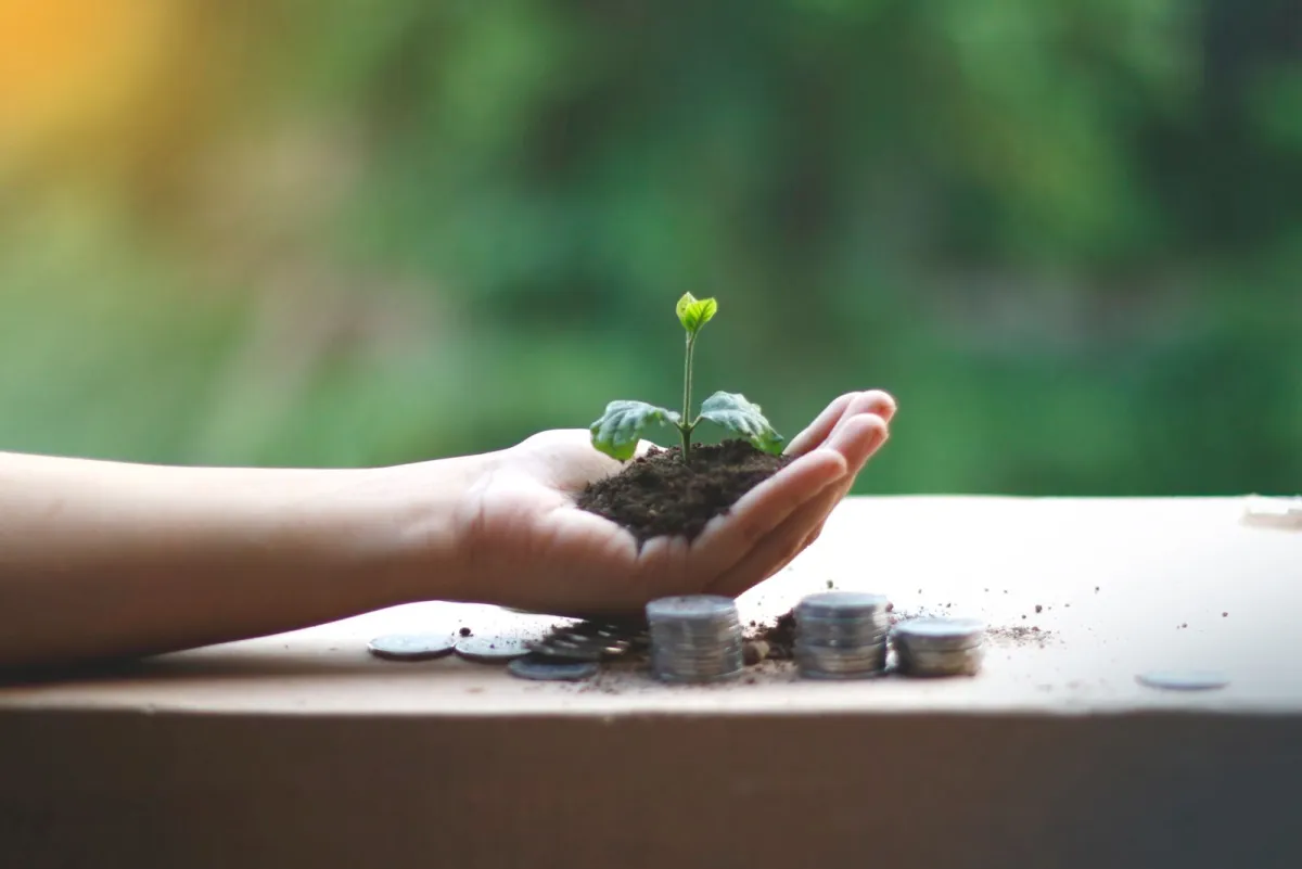 Hand holding a young plant in soil above a few coins