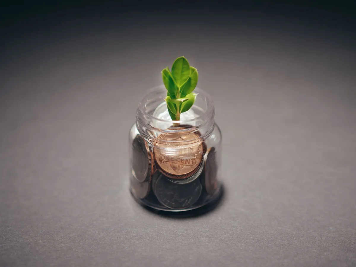Small green plant growing from a jar of coins