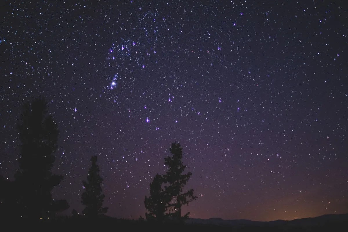 Starry night sky with constellations above silhouetted pine trees