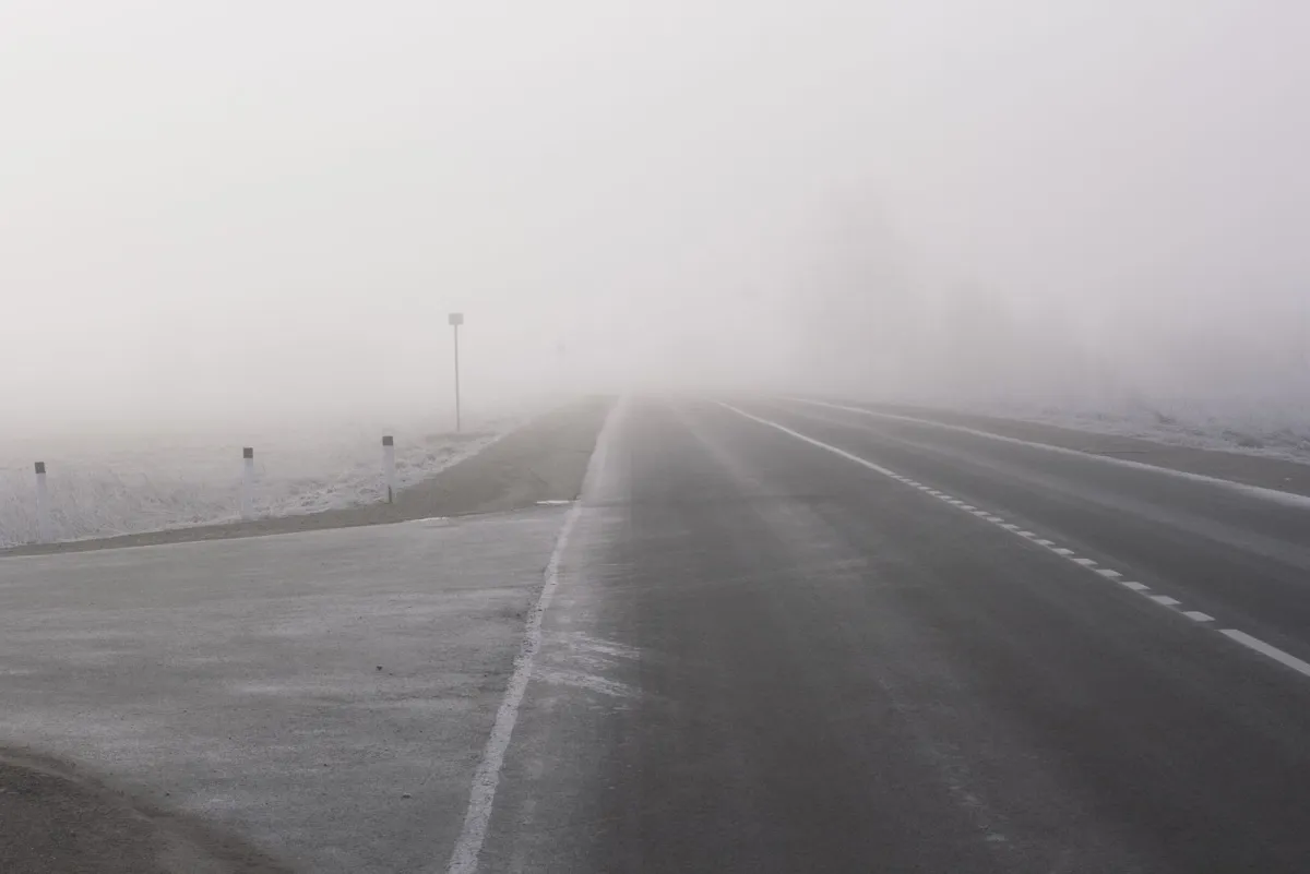 Road vanishing into dense fog, with only the first stretch visible