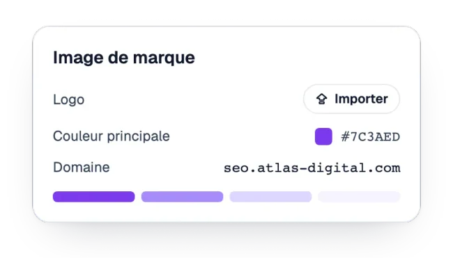 Réglages de marque avec logo, couleur principale et domaine personnalisé